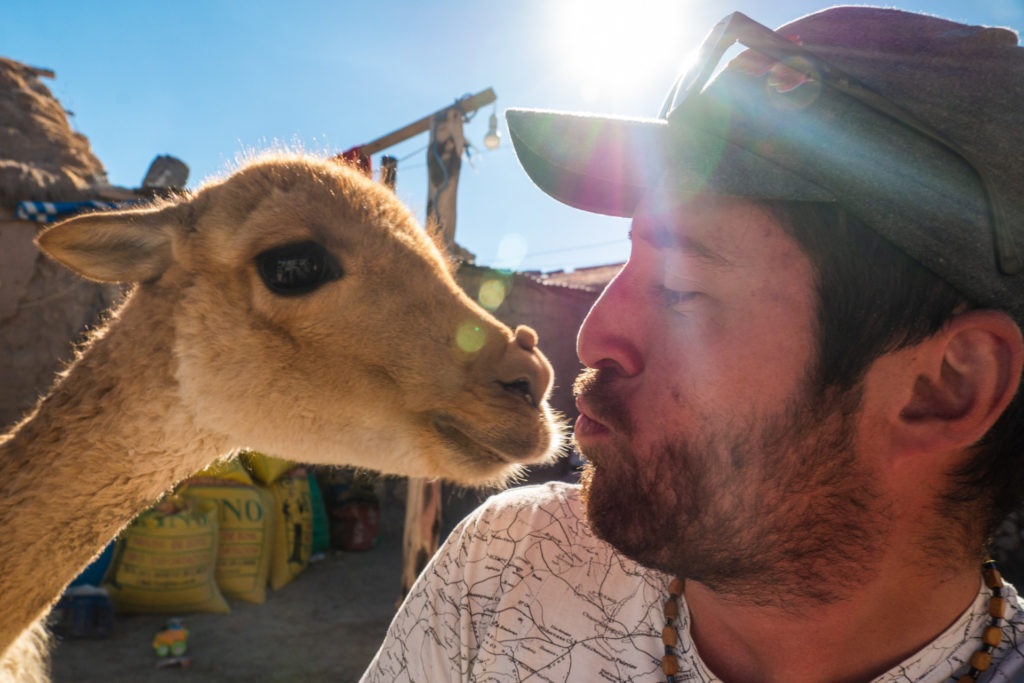 Bisou avec un lama
