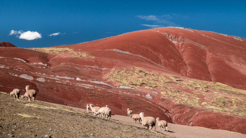 Vallée rouge Cusco